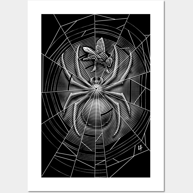 Spider Web Wall Art by c0y0te7